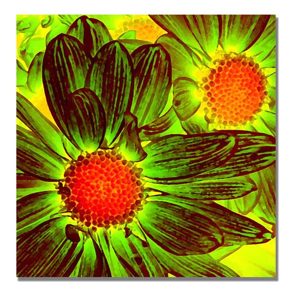 Amy Vangsgard 'Pop Daisies V' Canvas, 18x18, Trademark Fine Art, Mfr#: AV0075-C1818GG